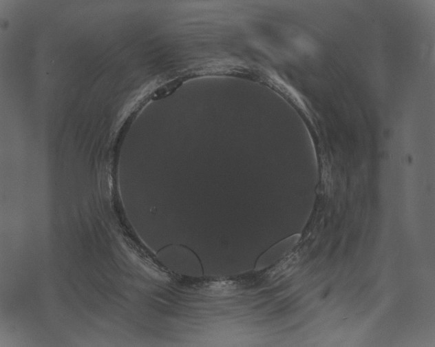 X0000070860059200606231303