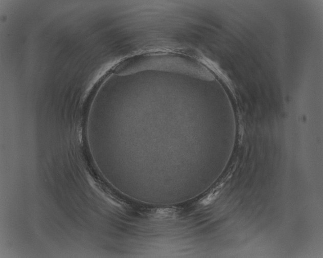 X0000070860060200606231303