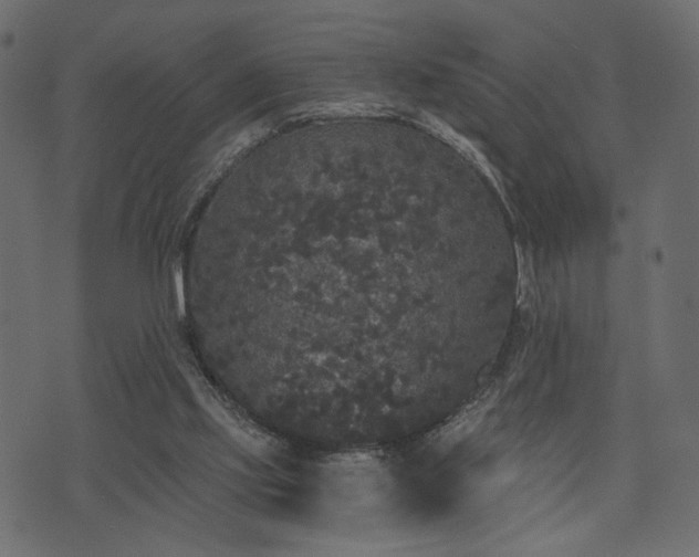 X0000070860061200606231303