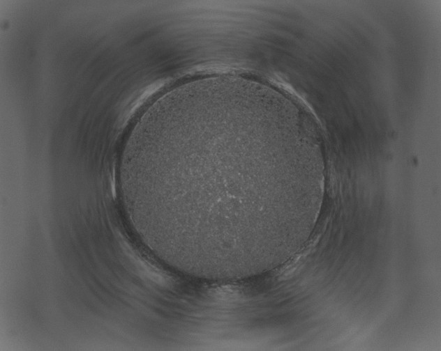 X0000070860062200606231303