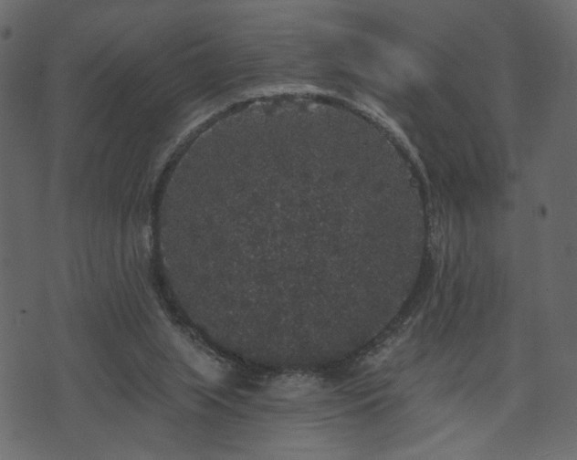 X0000070860063200606231303