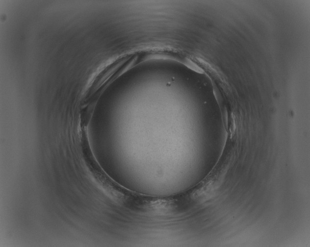 X0000070860064200606231303