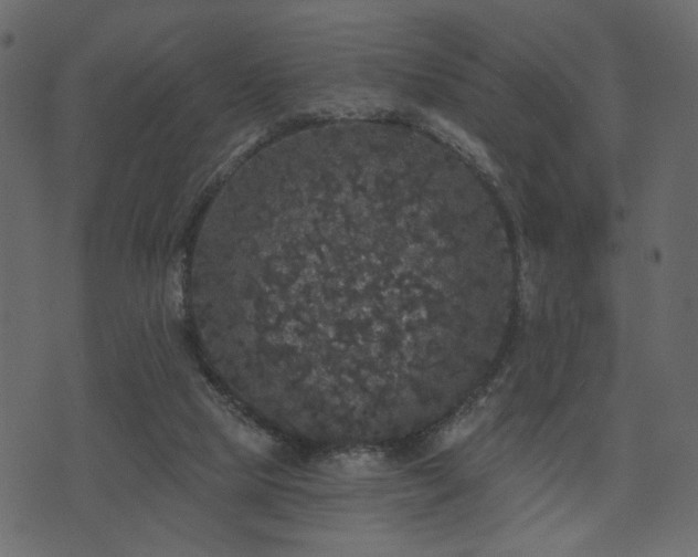 X0000070860065200606231303