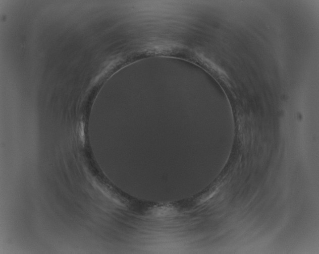 X0000070860067200606231303