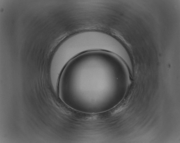 X0000070860068200606231303