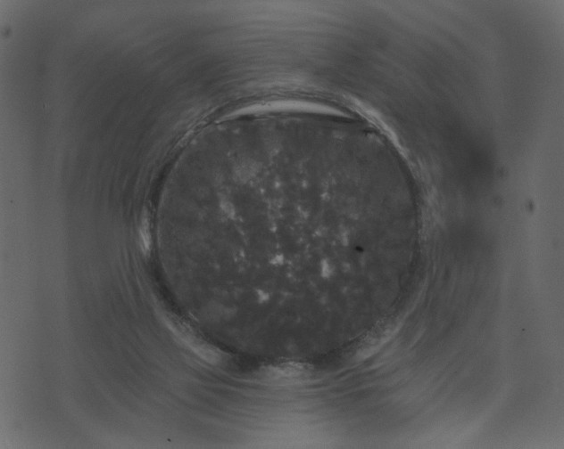 X0000070860069200606231303