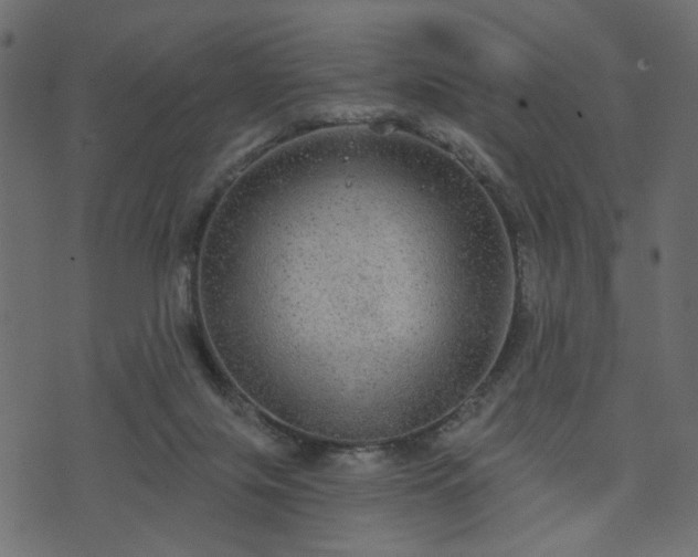 X0000070860071200606231303