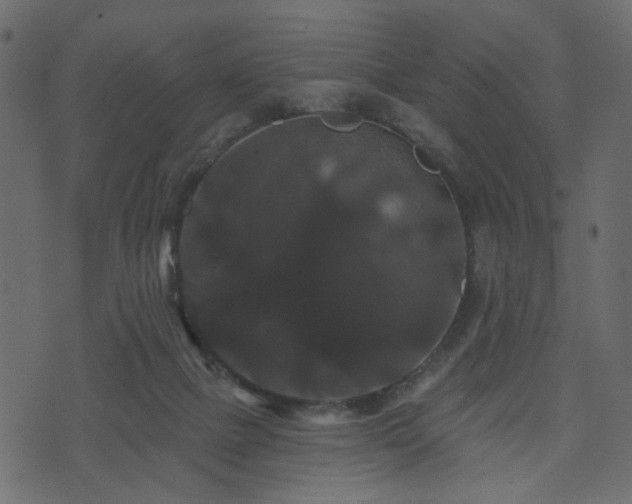 X0000070860073200606231303