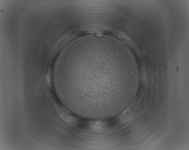 X0000070860074200606231303