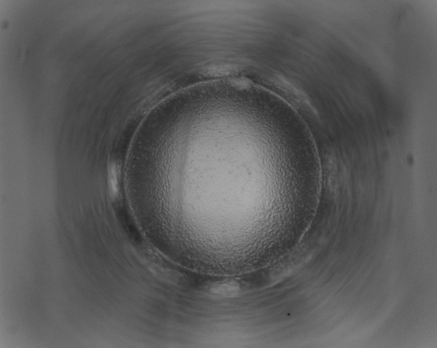 X0000070860075200606231303