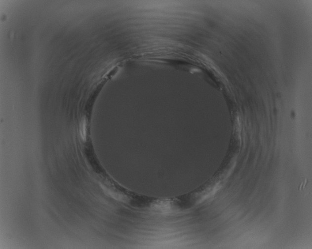 X0000070860076200606231303