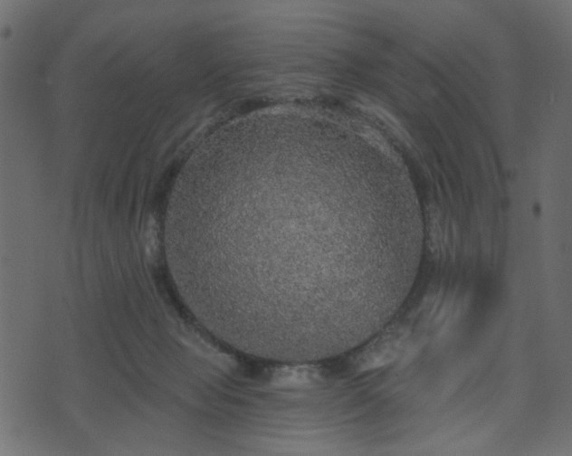 X0000070860077200606231303