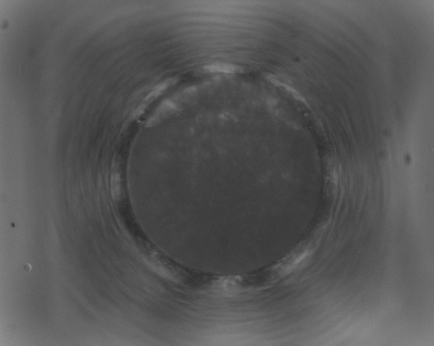 X0000070860080200606231303