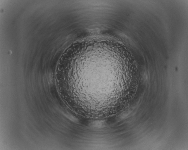 X0000070860081200606231303