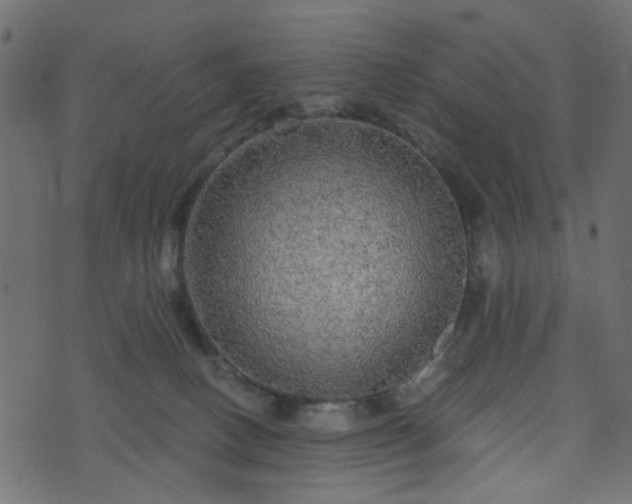 X0000070860082200606231303