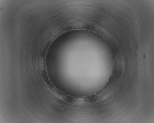 X0000070860083200606231303