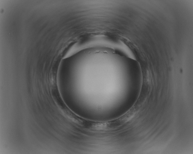 X0000070860084200606231303