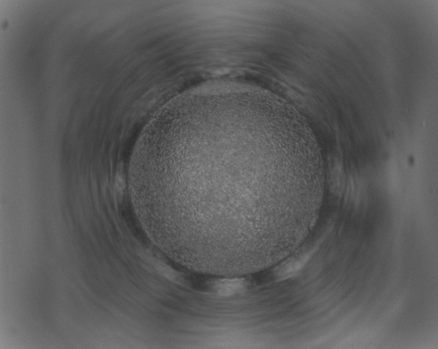 X0000070860085200606231303