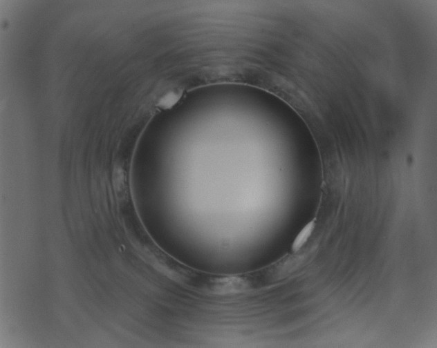 X0000070860087200606231303