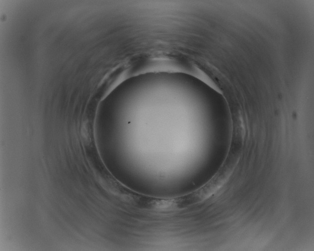 X0000070860088200606231303