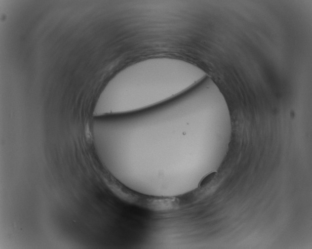 X0000070860089200606231303