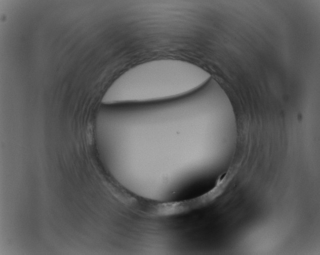 X0000070860090200606231303