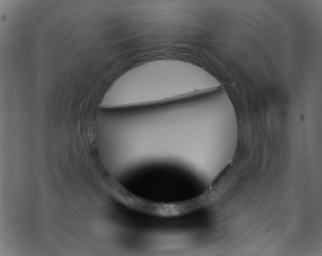 X0000070860091200606231303