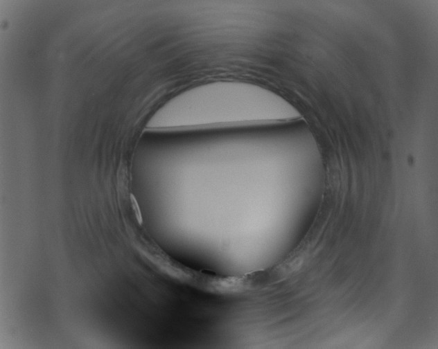 X0000070860092200606231303