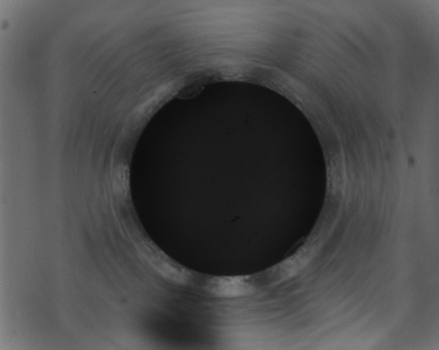 X0000070860093200606231304