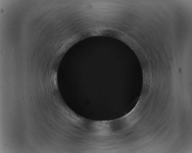 X0000070860094200606231304