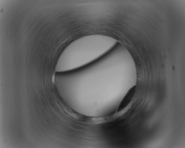 X0000070860095200606231304