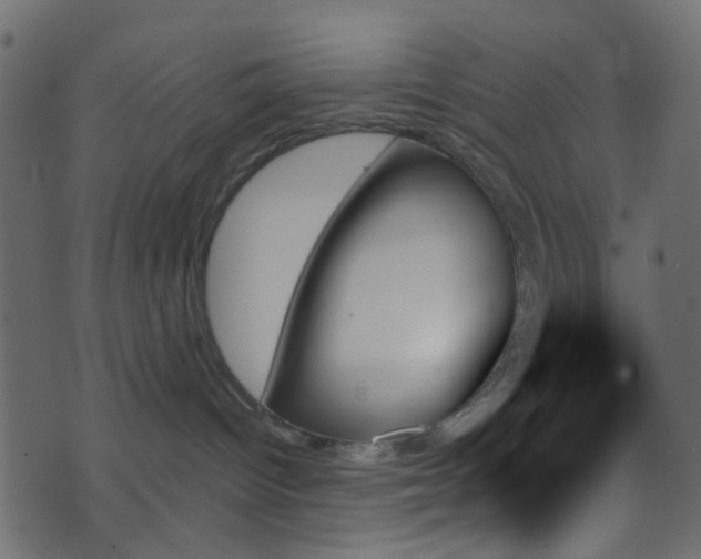 X0000070860096200606231304