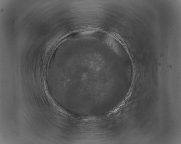 X0000070860097200606231303