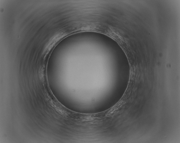 X0000070860098200606231303