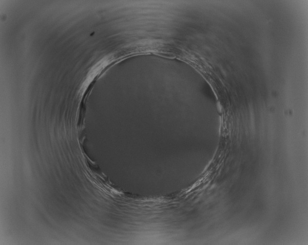 X0000070860099200606231303