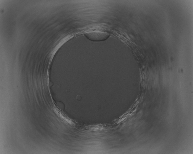 X0000070860100200606231303