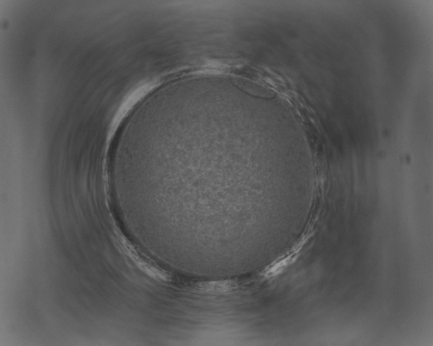 X0000070860102200606231303