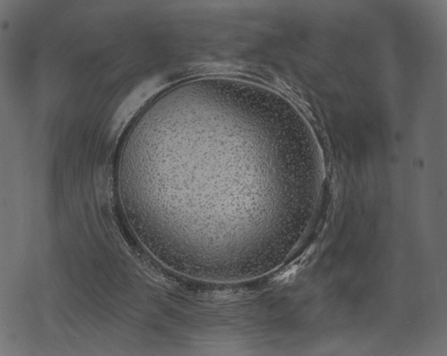 X0000070860103200606231303