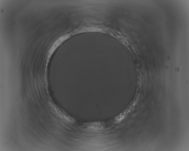 X0000070860104200606231303