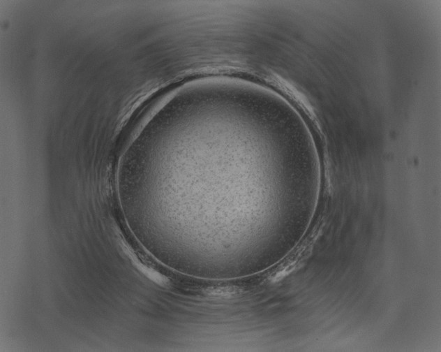 X0000070860105200606231303