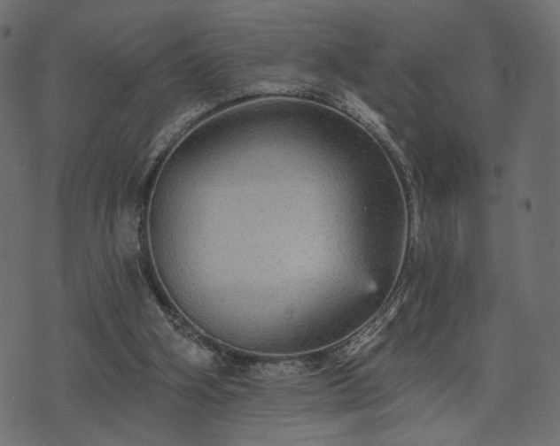 X0000070860106200606231303