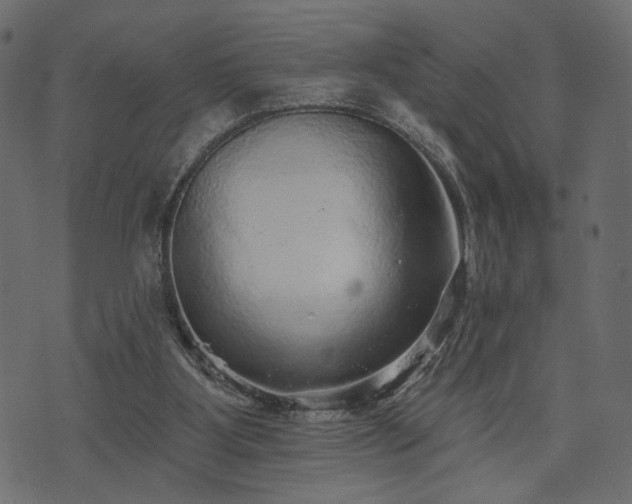 X0000070860107200606231303