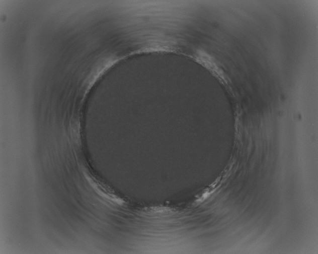 X0000070860108200606231303