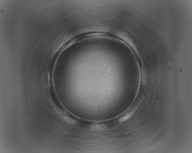 X0000070860109200606231303