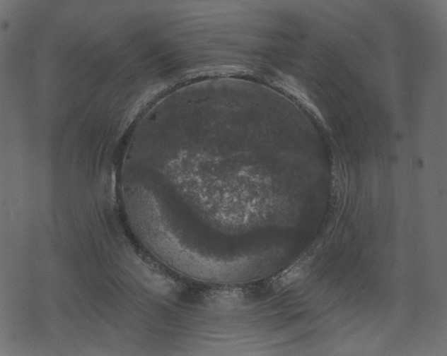 X0000070860110200606231303