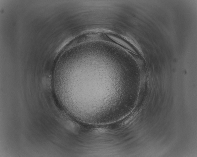 X0000070860111200606231303