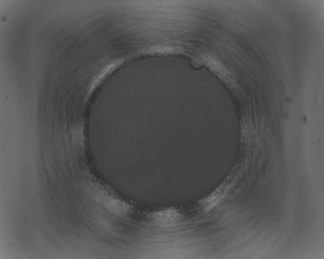 X0000070860112200606231303