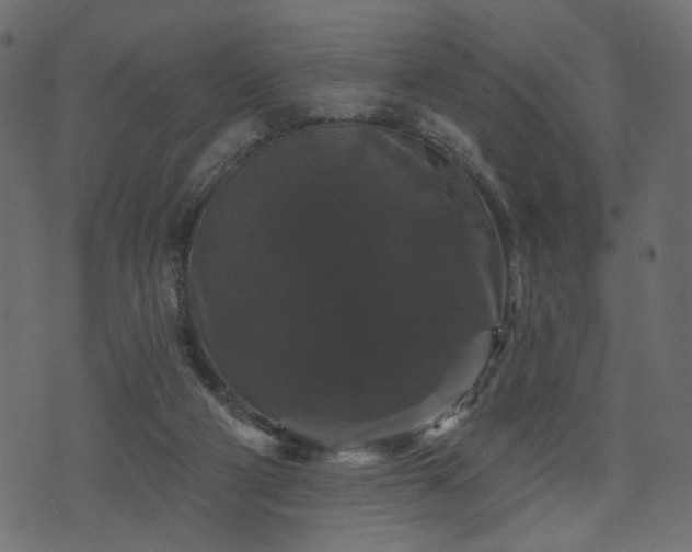 X0000070860114200606231303