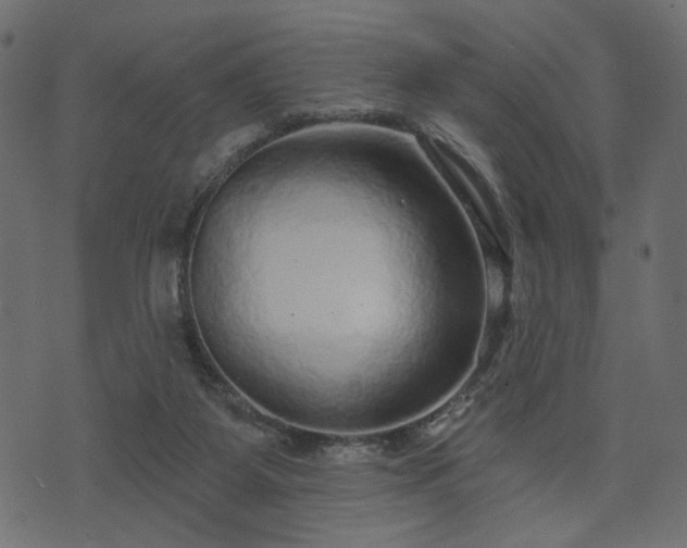 X0000070860115200606231302