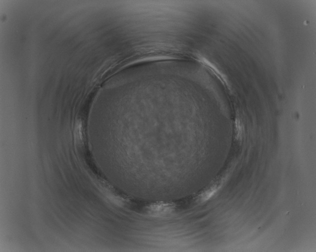 X0000070860117200606231302